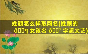 姓颜怎么样取网名(姓颜的 🐶 女孩名 🌹 字超文艺)